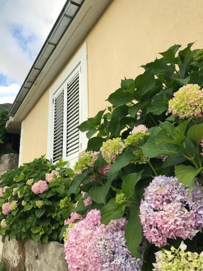 Etno Village Mihailovic Herceg Novi Buitenkant foto