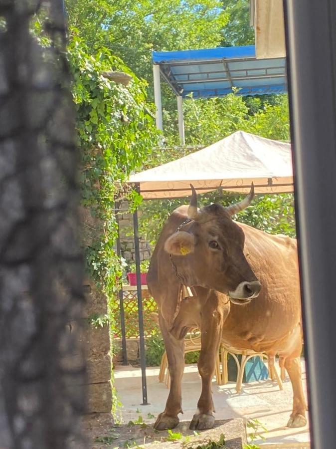 Etno Village Mihailovic Herceg Novi Buitenkant foto