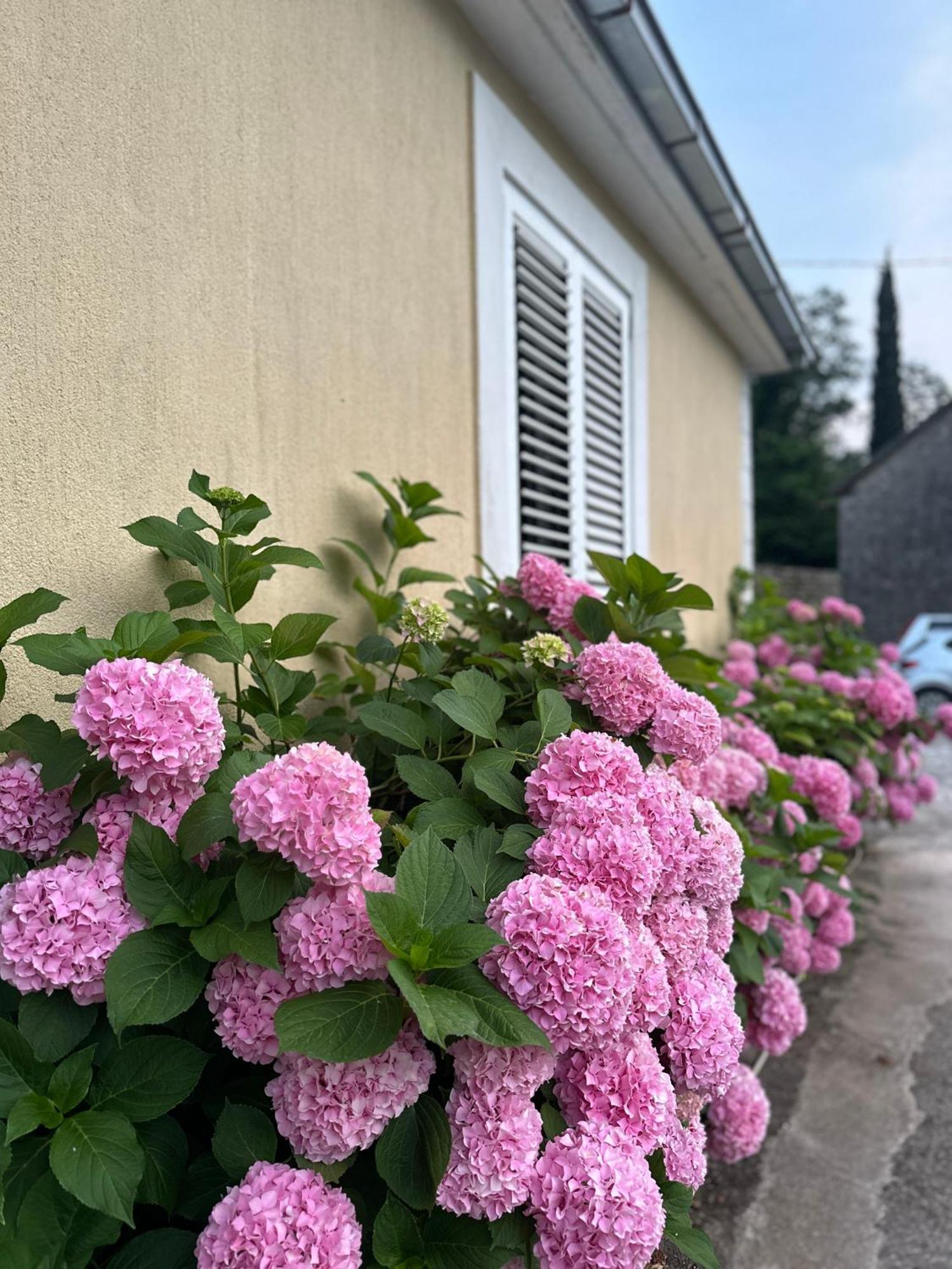Etno Village Mihailovic Herceg Novi Buitenkant foto
