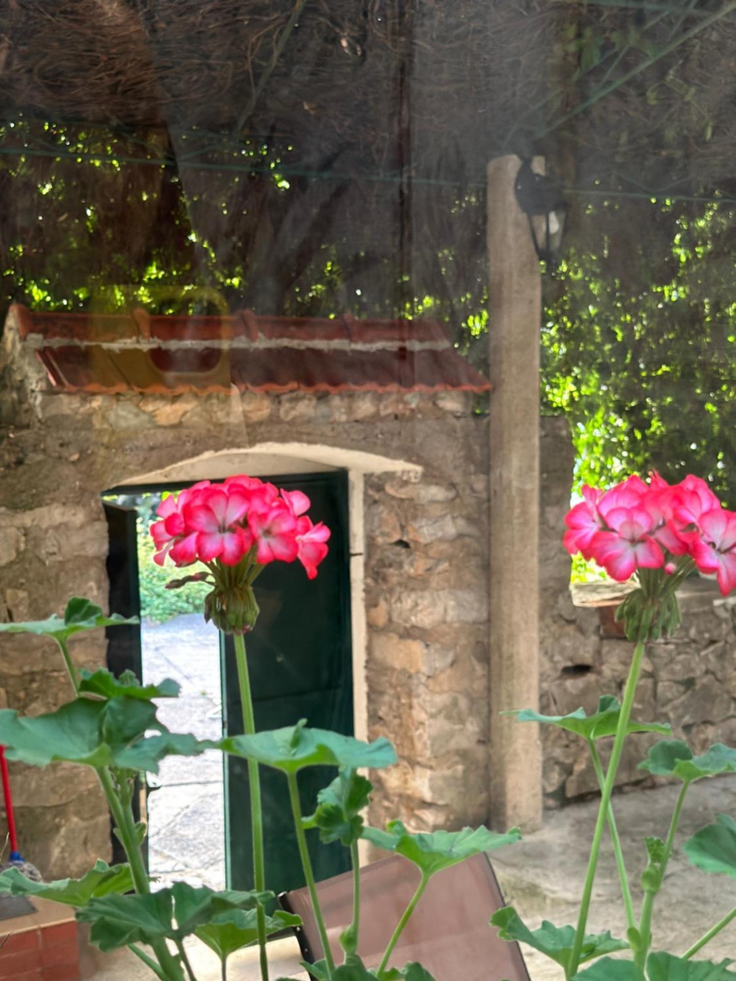 Etno Village Mihailovic Herceg Novi Buitenkant foto